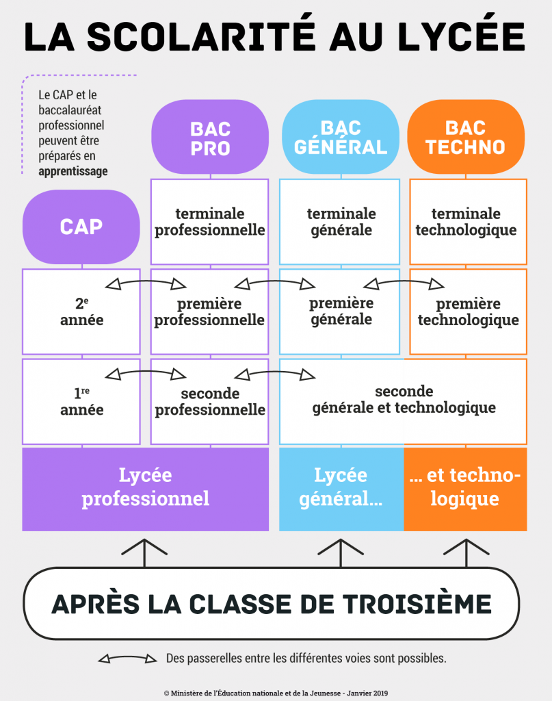 Schéma des passerelles possibles au lycée