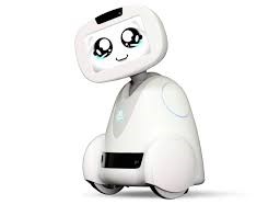 robot TED-i buddy