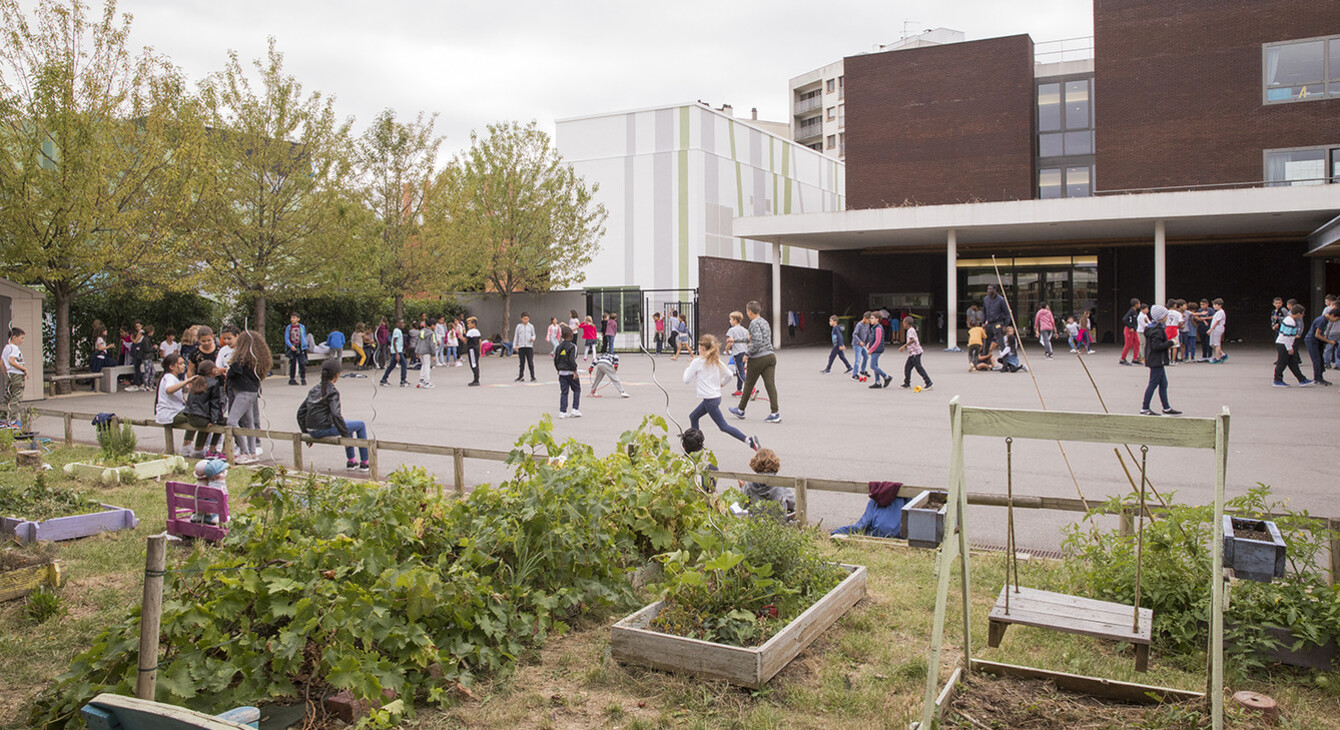 5 étapes pour mettre en place un jardin scolaire