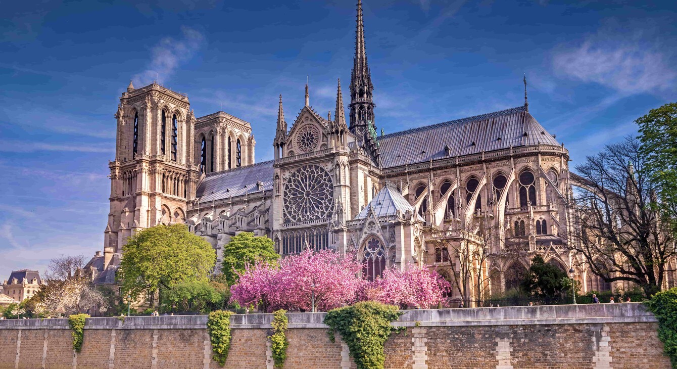 Cathédrale notre dame paris