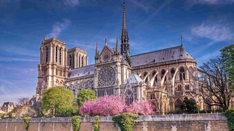 Cathédrale notre dame paris